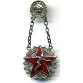 Будь готов к труду и обороне (БГТО)
