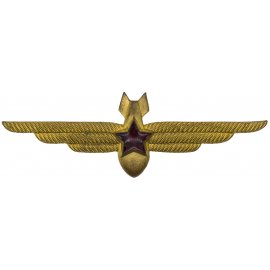 Знаки ВВС ВМФ